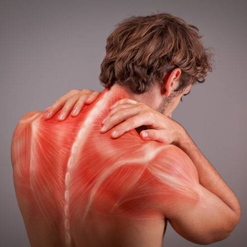 Muscle Pain treatment in Matunga